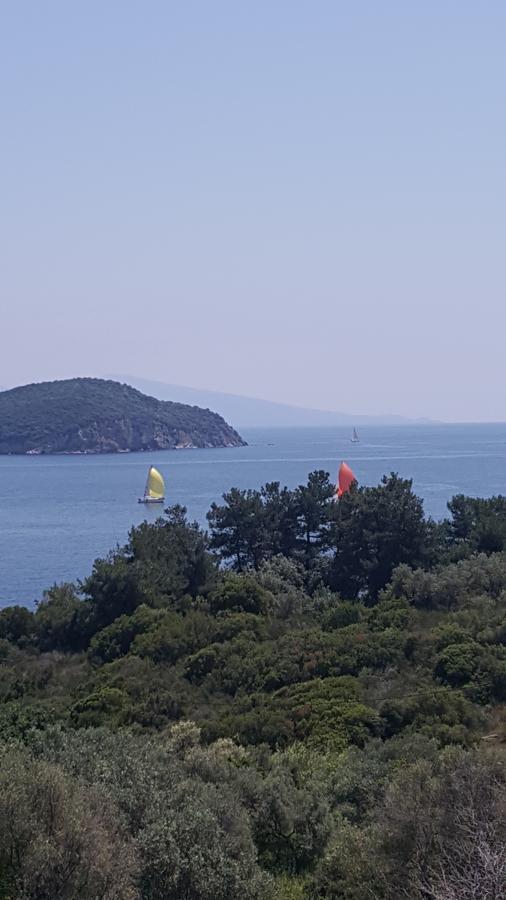 Sea Path Apartment PalaiónTsiflíkion Εξωτερικό φωτογραφία
